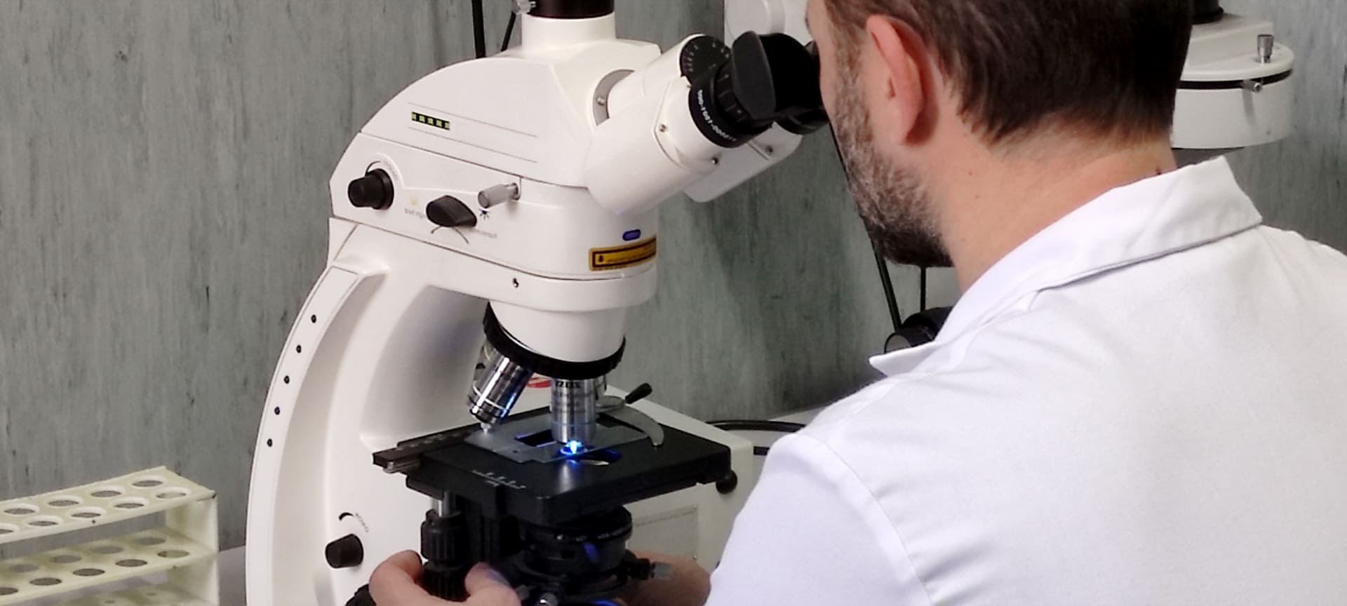 Analisi al microscopio