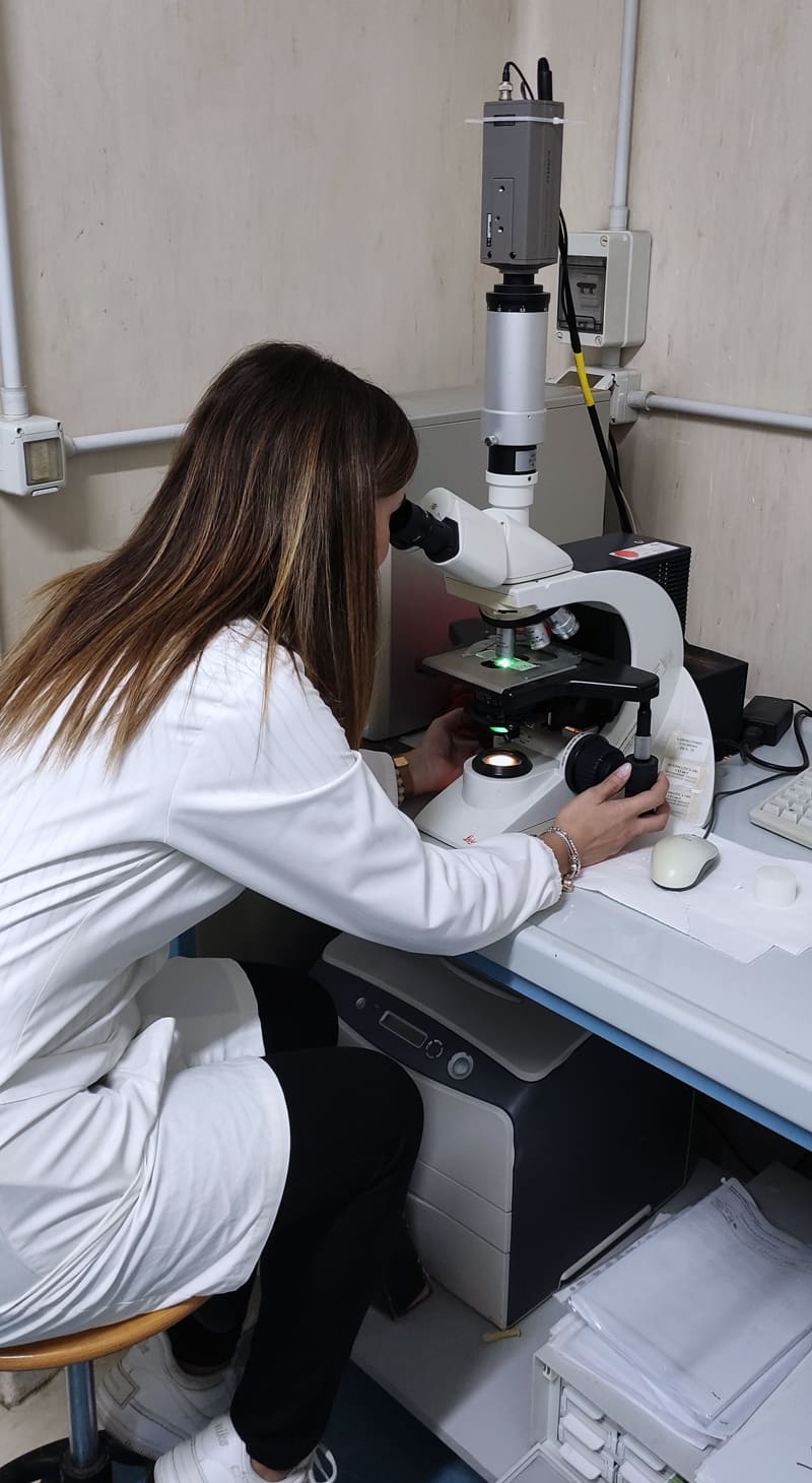 Laboratorio di genetica